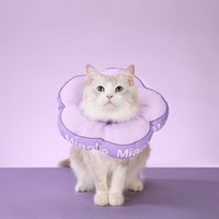 花朵伊莉莎白圈 升級防脫款 (三色)