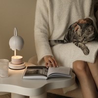 寵物友善香氛蠟燭 (多款)