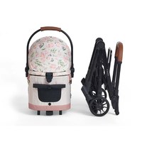 FLYTTA PLUS 分離式座艙寵物推車 – 大款