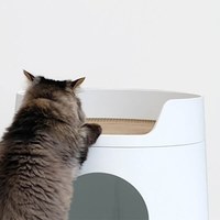 福利品專區 - 貓城堡抓板貓砂盆