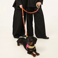 棉花糖SMART雙段牽引繩 (多色)