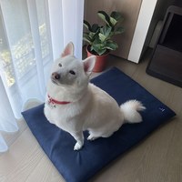 3D透氣寵物睡墊 (多色)