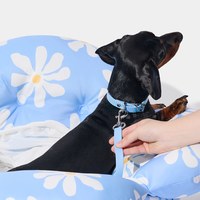 外出車載包 - 小雛菊