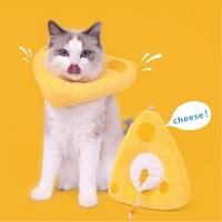 芝芝伊麗莎白圈