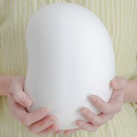 未芽 可降解紙漿寵物骨灰盒