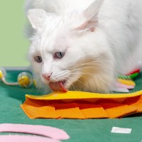 氣味遊戲墊 - 港式茶餐廳