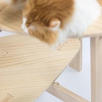 多層簡約貓爬架