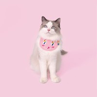 彩虹閃電口水巾