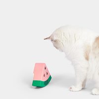 動感光波逗貓玩具