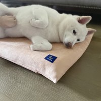 3D透氣寵物睡墊 (多色)