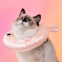 寵物伊麗莎白圈 (多款)