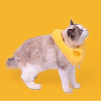 芝芝伊麗莎白圈