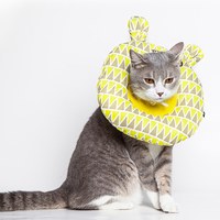 伊麗莎白圈 (五款)