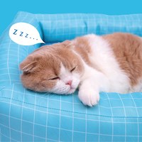 福利品專區 - 夏日泳池四季窩 S號