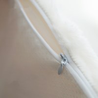 可愛小雞寵物窩 - 深睡窩窩