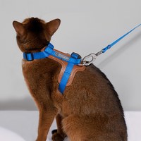 啵啵皮革貓胸背牽引繩套裝 (多色)